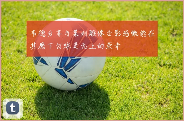 韦德分享与莱利雕像合影感慨能在其麾下打球是无上的荣幸